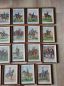 Preview: 25 alte Wandbilder von Husaren & Dragoner Regimenten