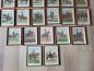 Preview: 25 alte Wandbilder von Husaren & Dragoner Regimenten