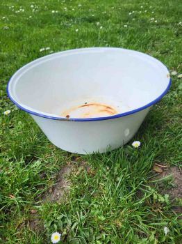 weiße emaille Schüssel, Waschschüssel, Pflanzschale, Pflanztopf