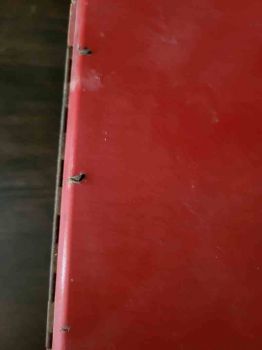 Preview: hübsches kleines Nähkästchen zum herrichten