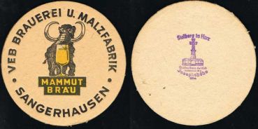 Mammut coaster