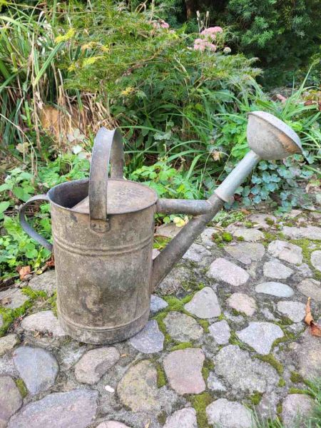 alte Zinkgießkanne mit Tülle, 6 Liter