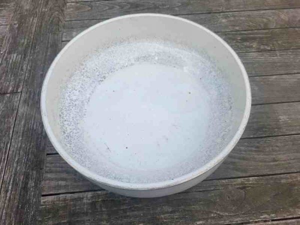 alte Waschschüssel, Schüssel, Pflanzschale