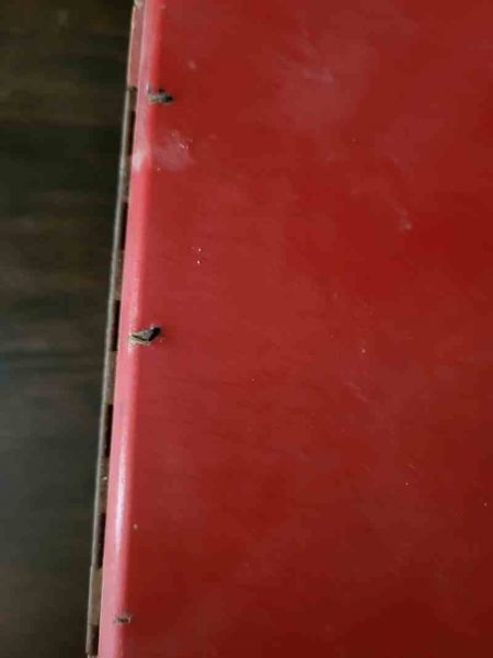 hübsches kleines Nähkästchen zum herrichten