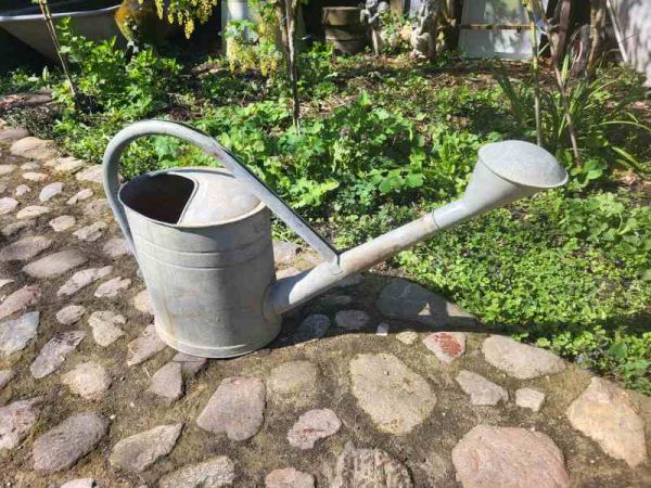alte große Zinkgießkanne Gießkanne mit Tülle, dicht 12,5 l